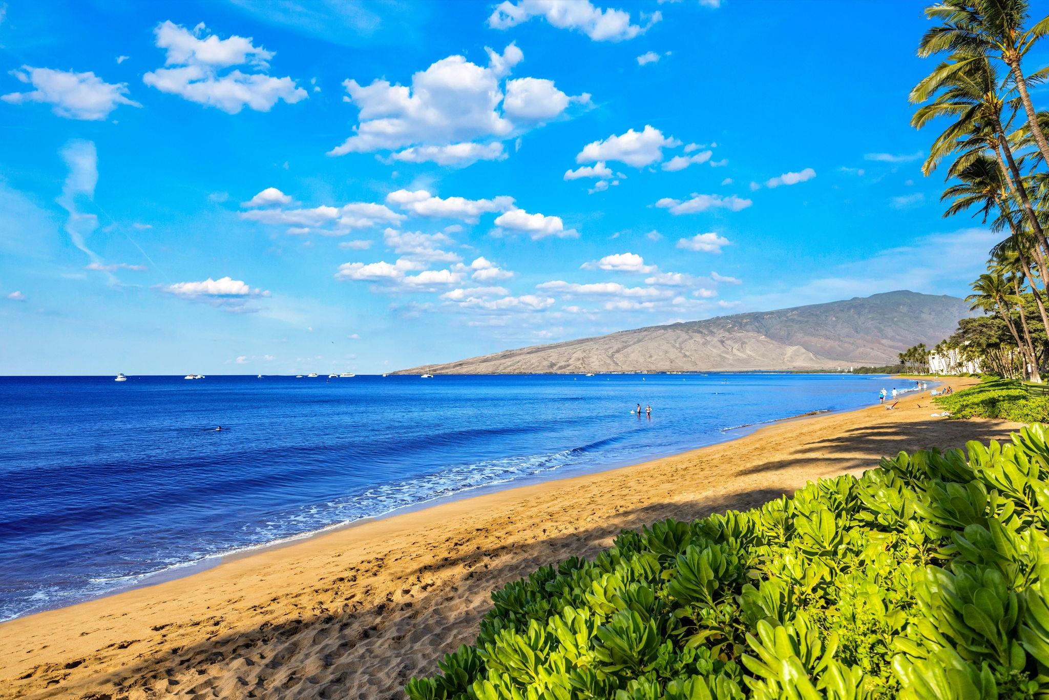 Kihei Beach condo # 410, Kihei, Hawaii - photo 6 of 41