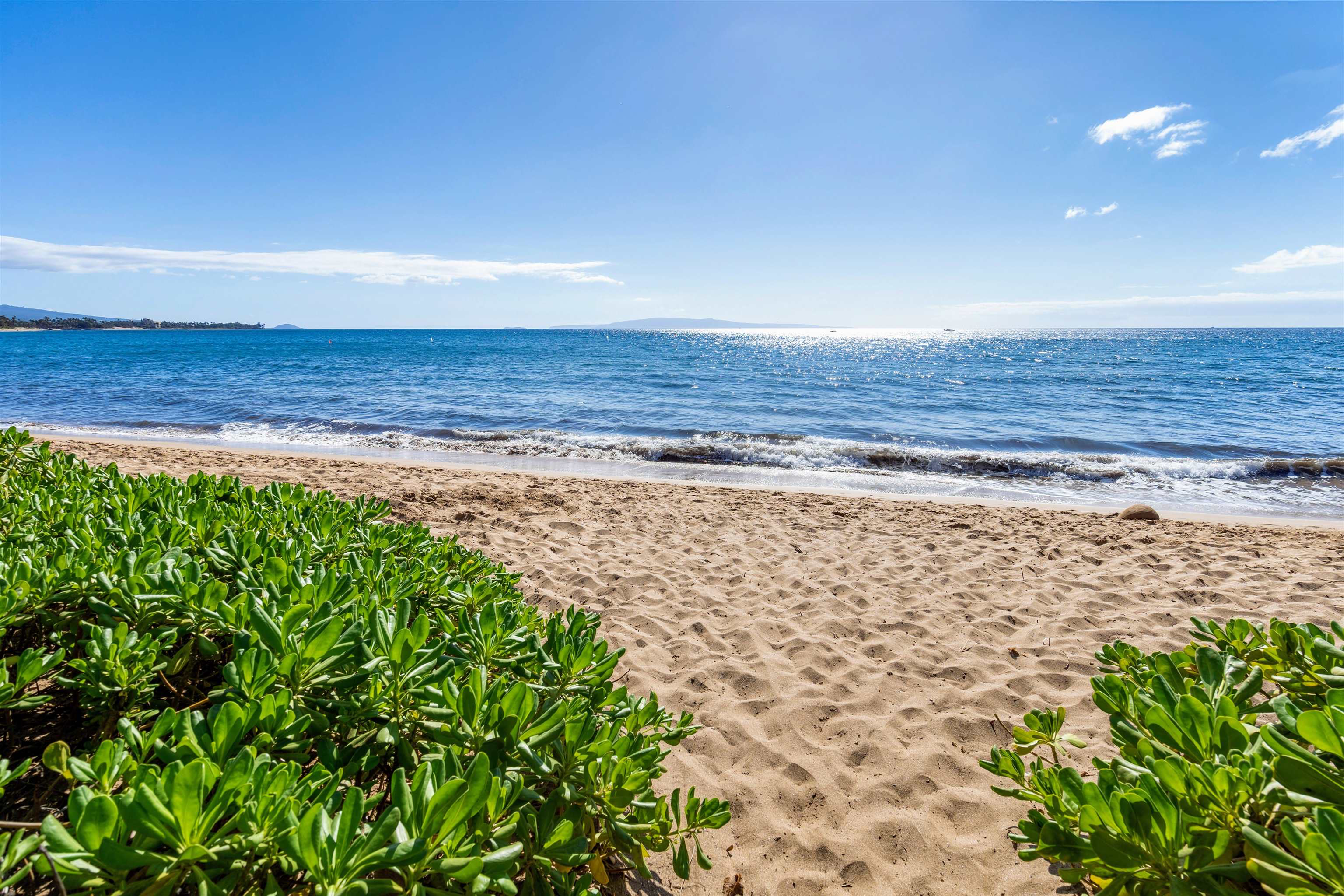 Kihei Beach condo # 501, Kihei, Hawaii - photo 28 of 29