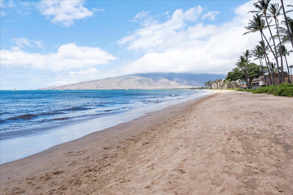 Kihei Beach condo # 602, Kihei, Hawaii - photo 26 of 33