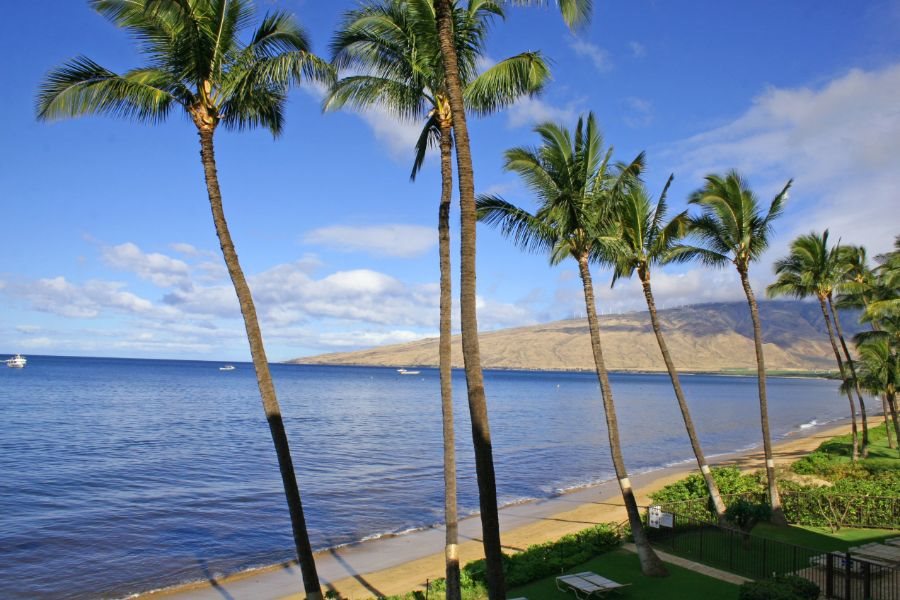 Kihei Beach condo # 606, Kihei, Hawaii - photo 21 of 26