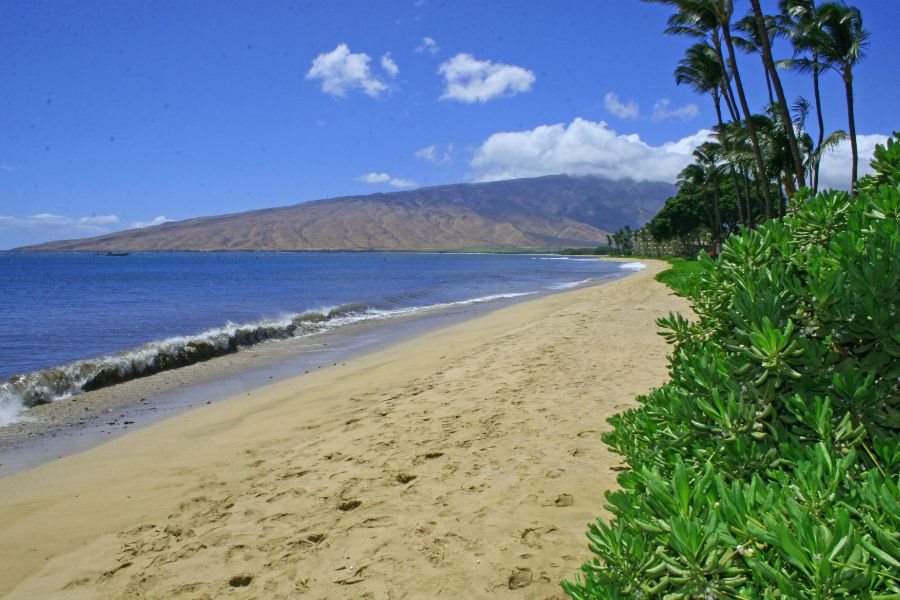 Kihei Beach condo # 606, Kihei, Hawaii - photo 22 of 26