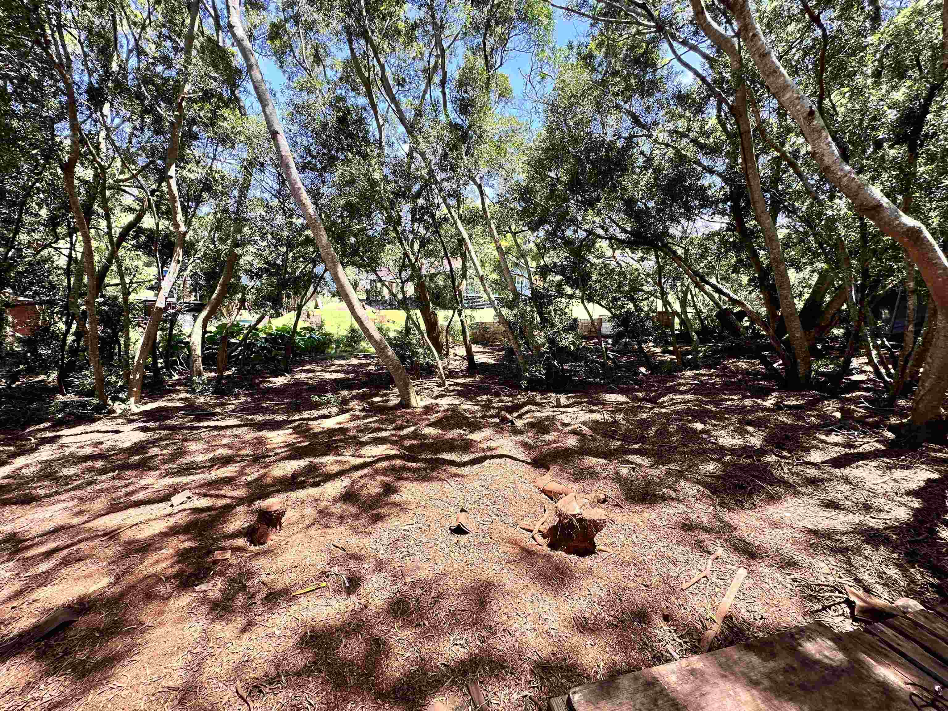 36 Koala Way  Hoolehua, Hi vacant land for sale - photo 3 of 9