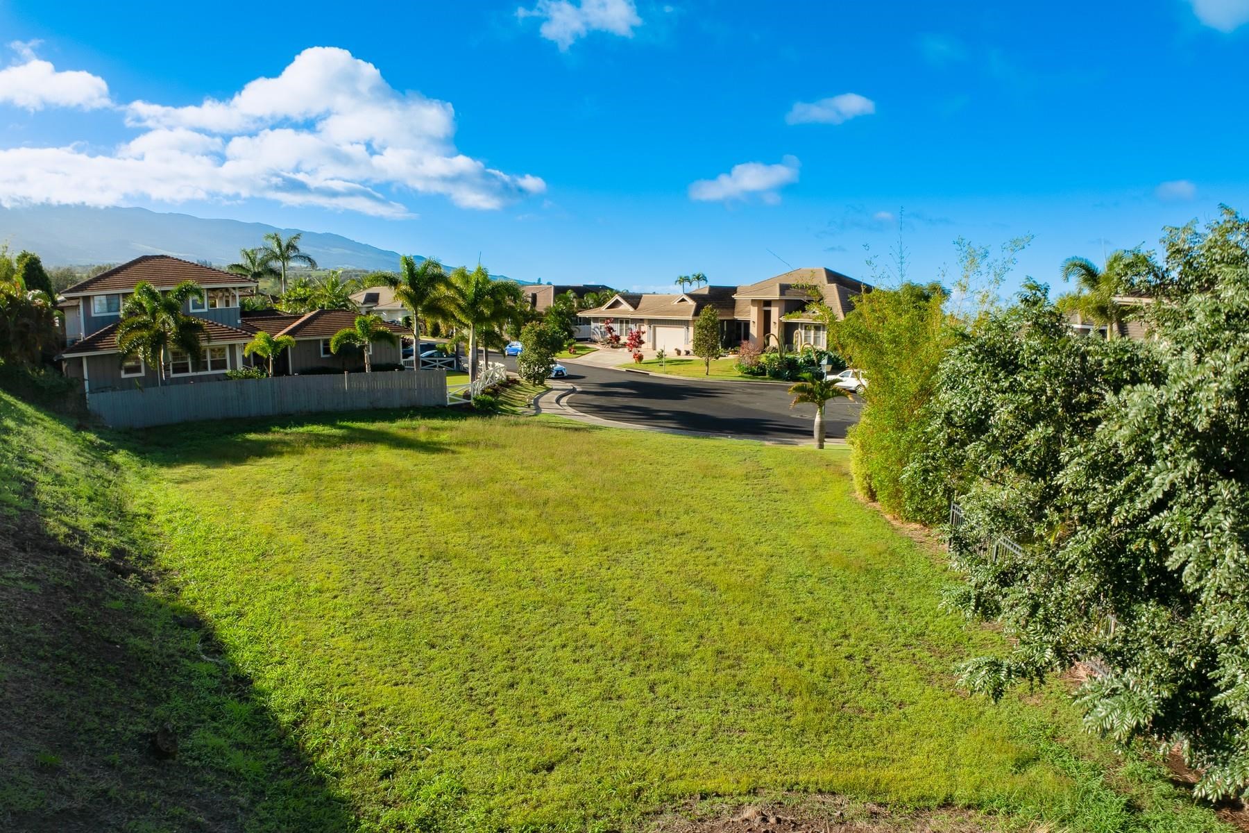 36 Ohia Lehua Pl  Makawao, Hi vacant land for sale - photo 13 of 14