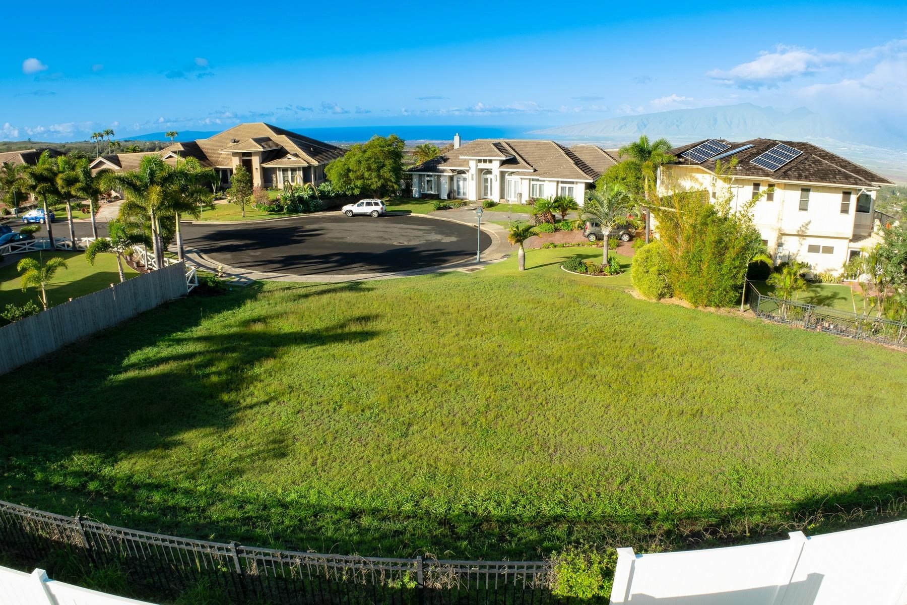 36 Ohia Lehua Pl  Makawao, Hi vacant land for sale - photo 10 of 14