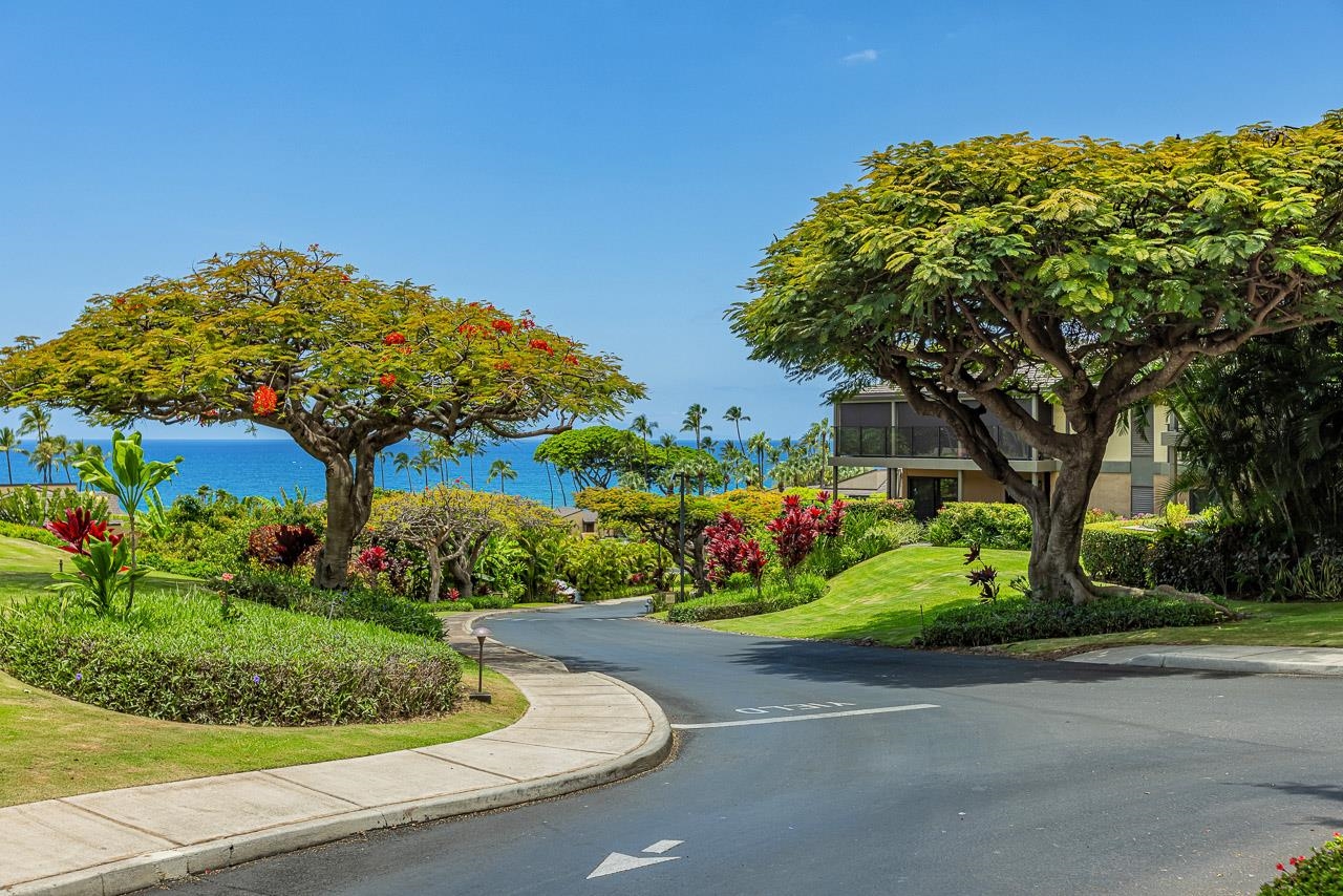 Wailea Elua I A condo # 1101, Kihei, Hawaii - photo 43 of 50