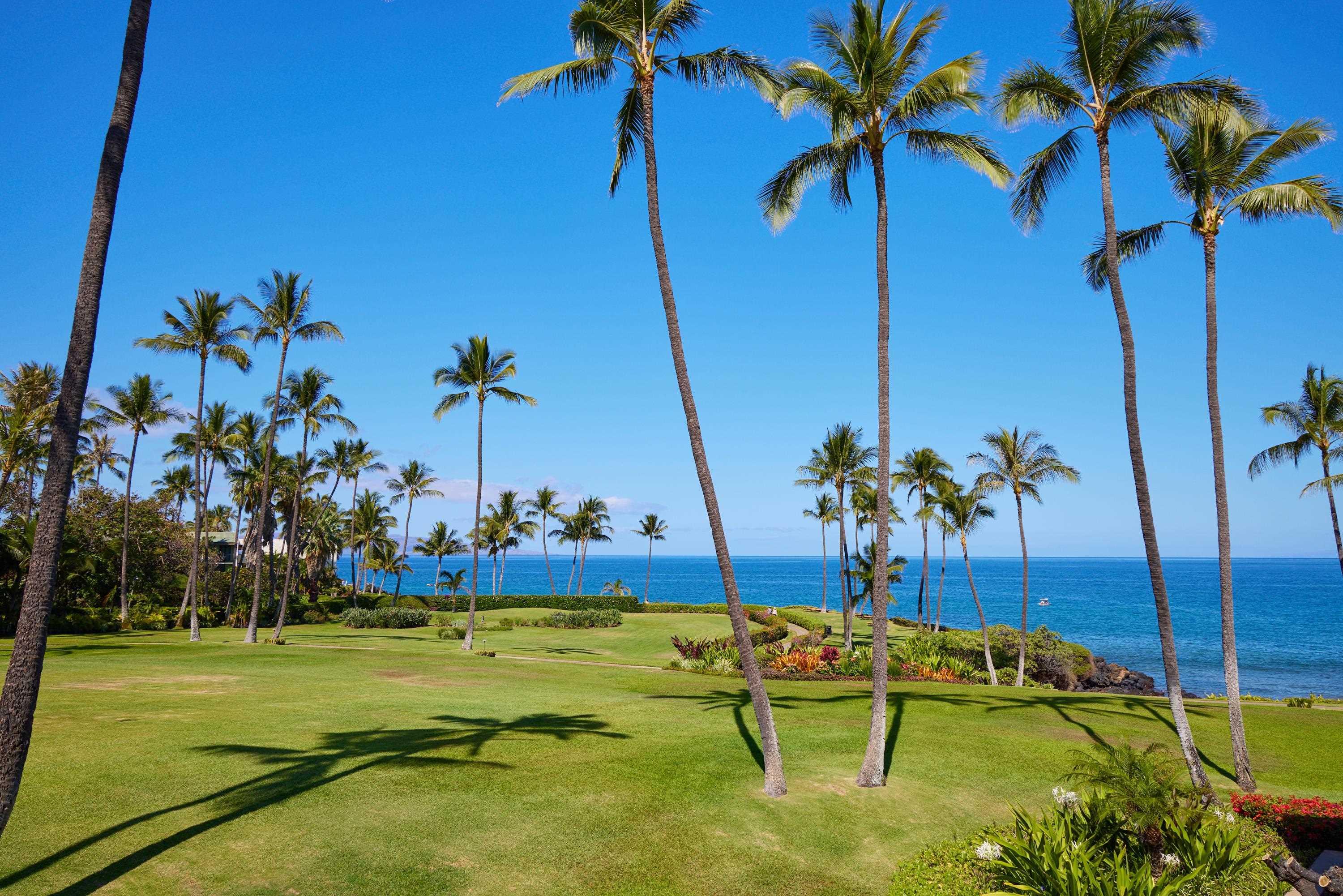 Wailea Elua II condo # 1702, Kihei, Hawaii - photo 4 of 50