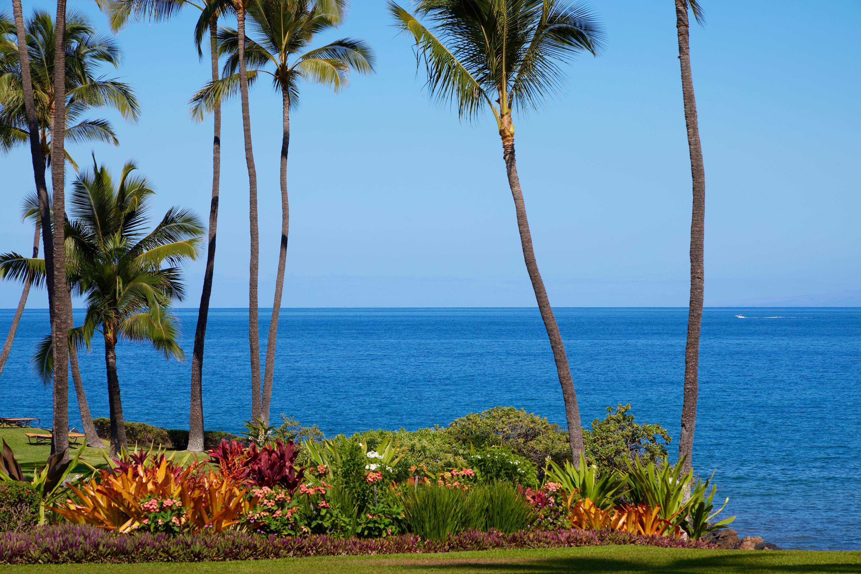 Wailea Elua II condo # 1702, Kihei, Hawaii - photo 36 of 50