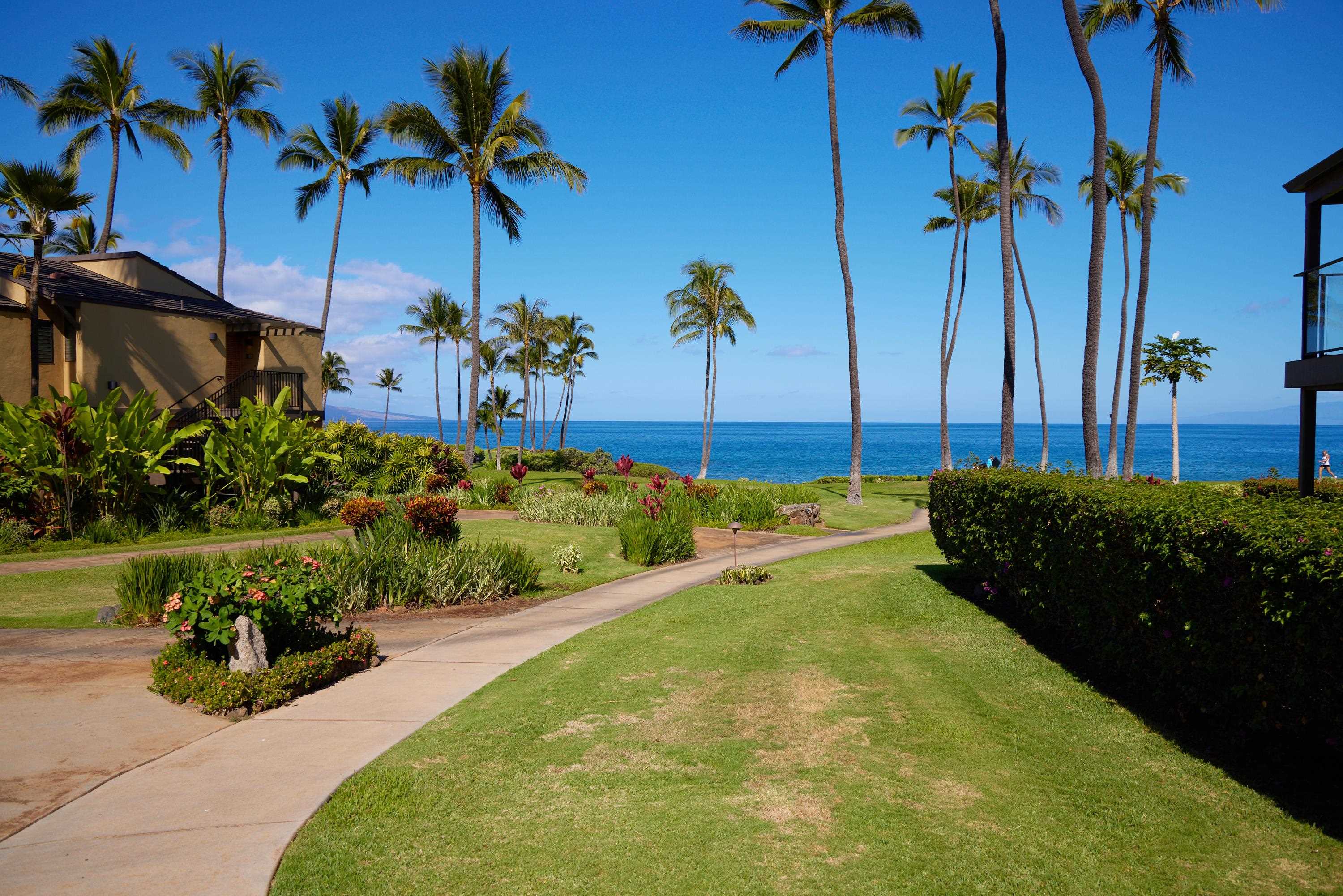 Wailea Elua II condo # 1702, Kihei, Hawaii - photo 37 of 50