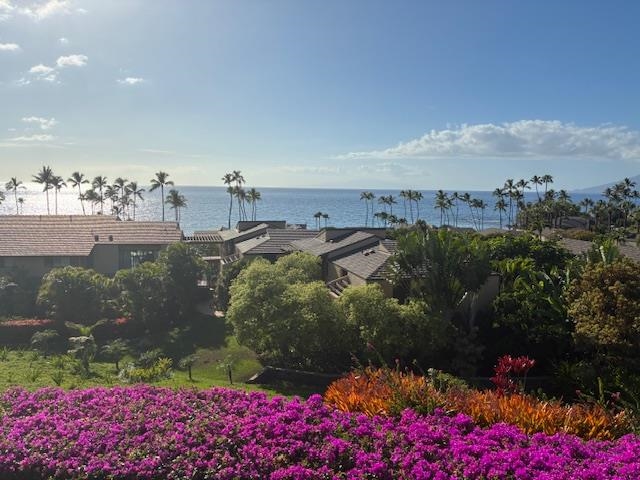 Wailea Elua II condo # 2010, Kihei, Hawaii - photo 23 of 50