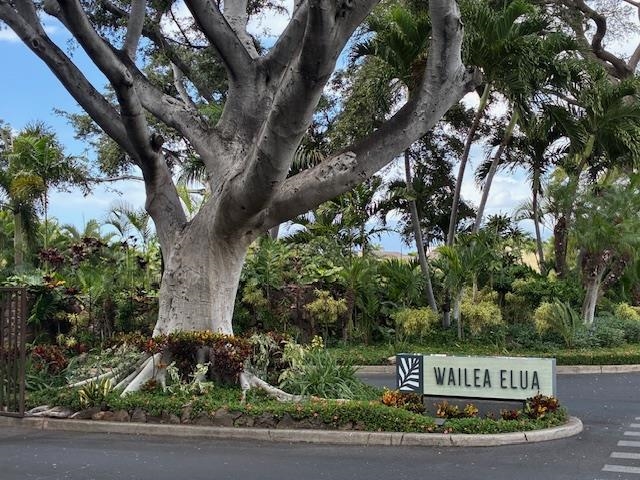 Wailea Elua II condo # 2010, Kihei, Hawaii - photo 29 of 50