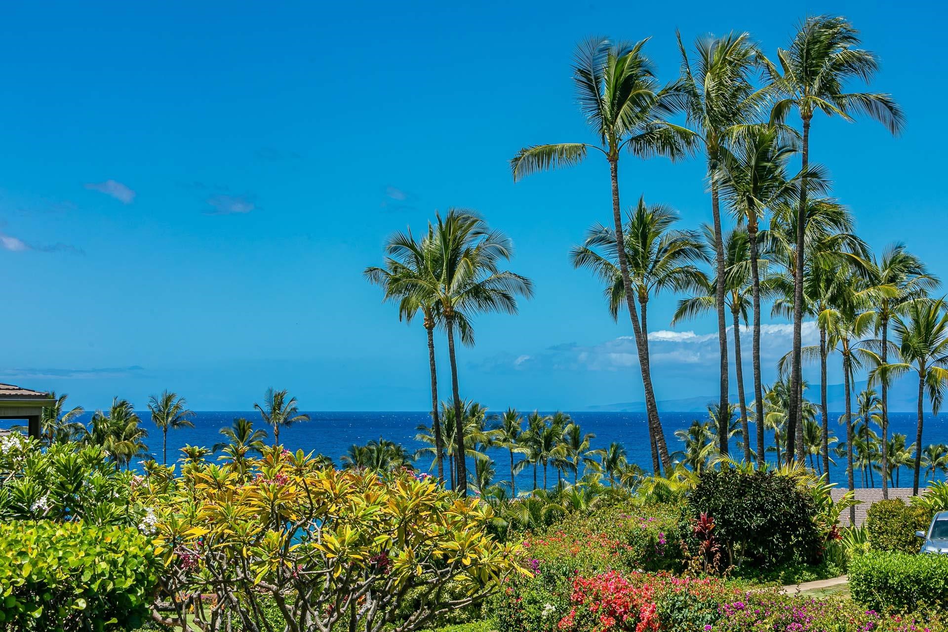 Wailea Elua II condo # 2109, Kihei, Hawaii - photo 43 of 47