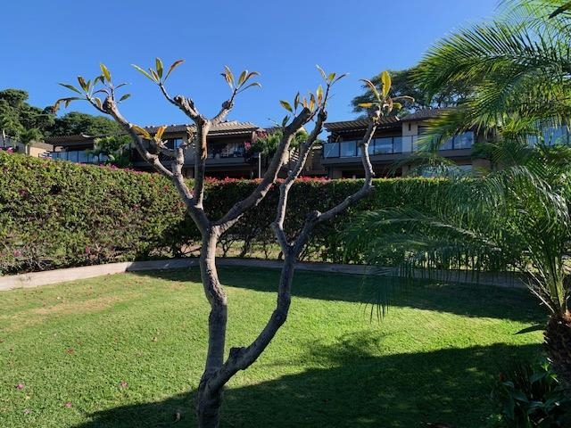 Wailea Elua II condo # 2201, Kihei, Hawaii - photo 3 of 50