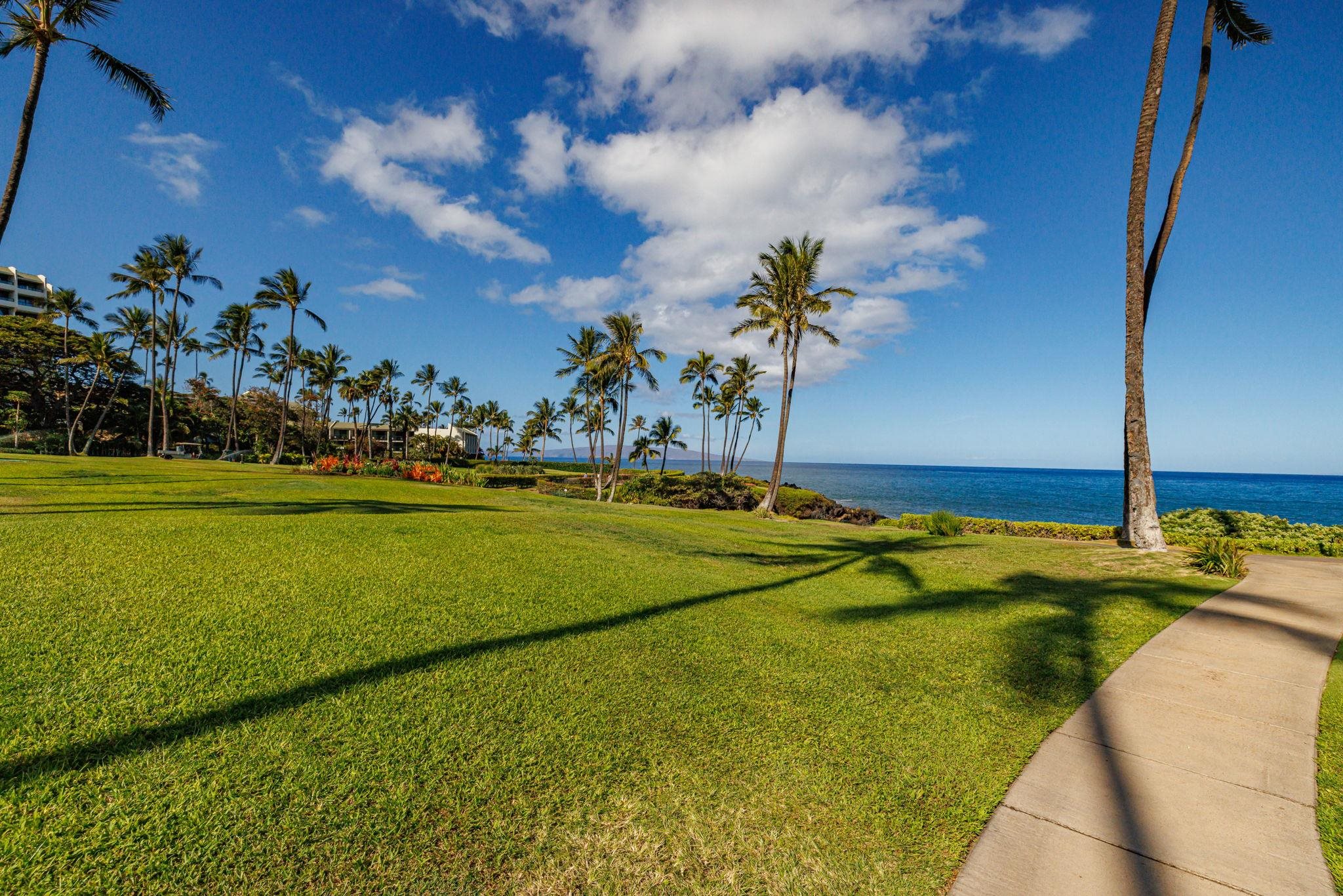 Wailea Elua II condo # 2201, Kihei, Hawaii - photo 36 of 50