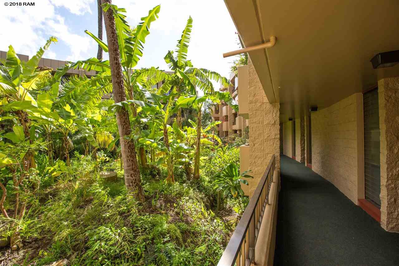 Paki Maui I II condo # 105, Lahaina, Hawaii - photo 19 of 23