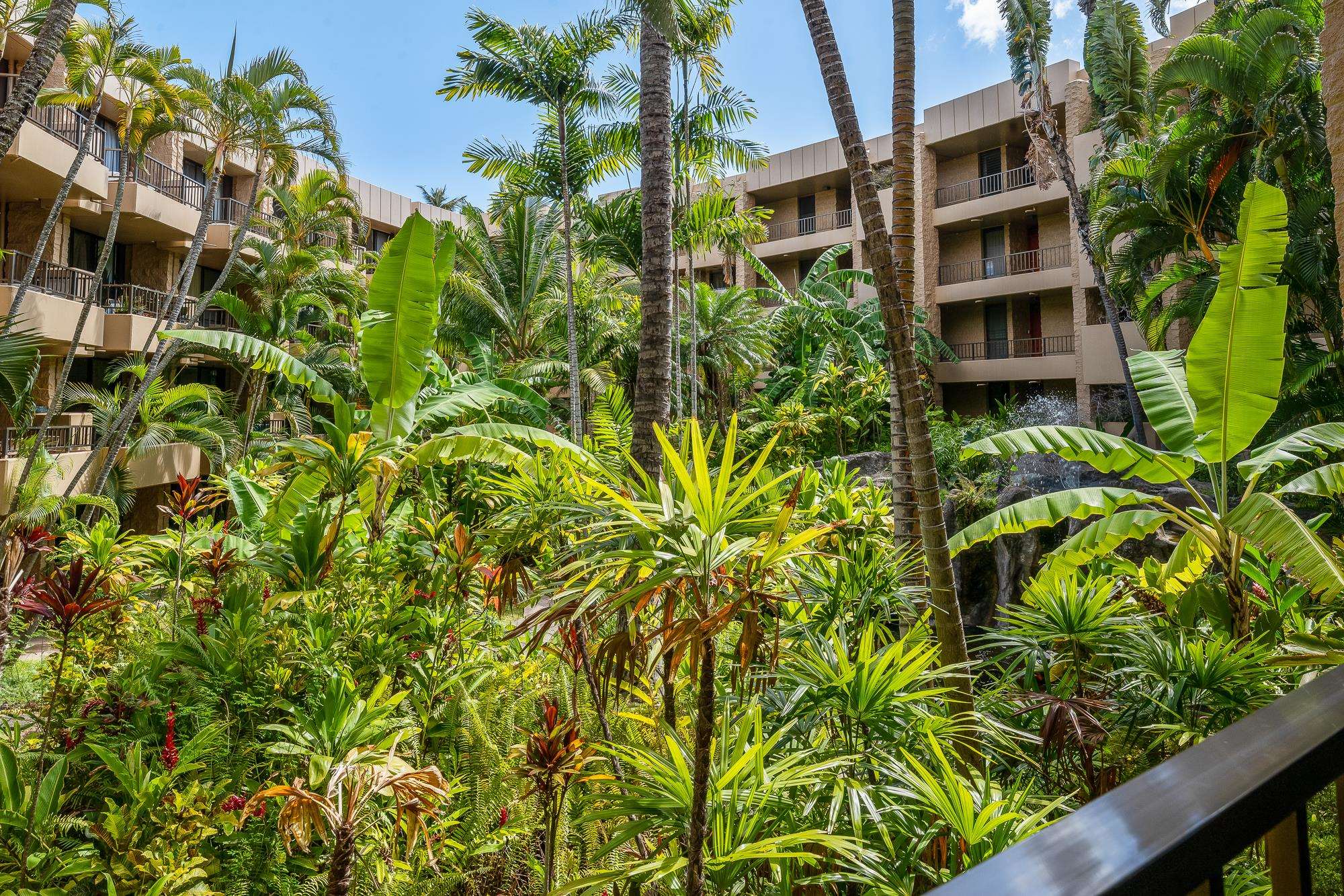 Paki Maui I II condo # 122, Lahaina, Hawaii - photo 35 of 50