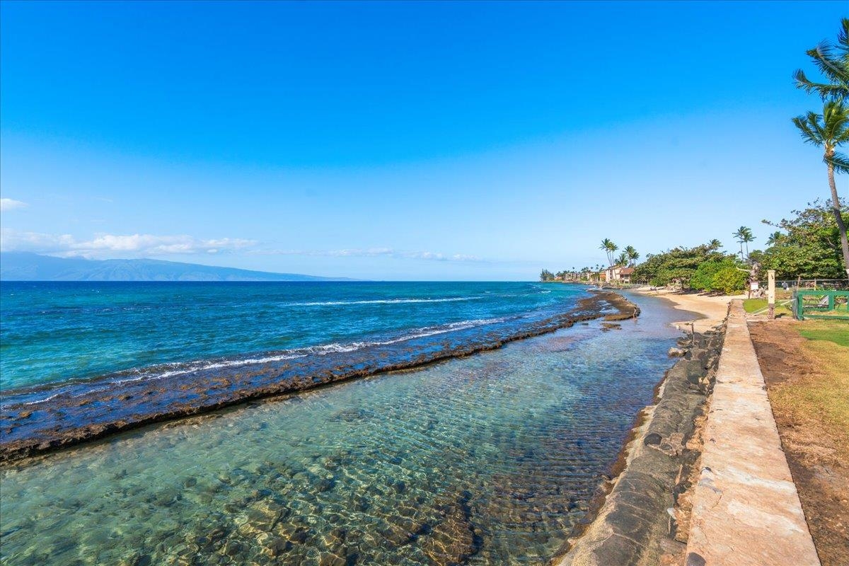 Paki Maui I II condo # 201, Lahaina, Hawaii - photo 37 of 37