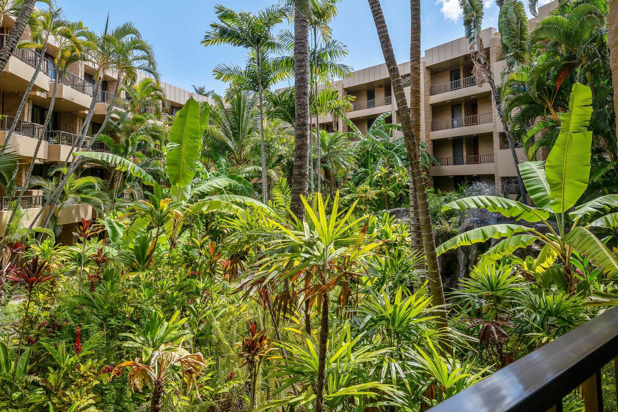 Paki Maui I II condo # 316, Lahaina, Hawaii - photo 25 of 50