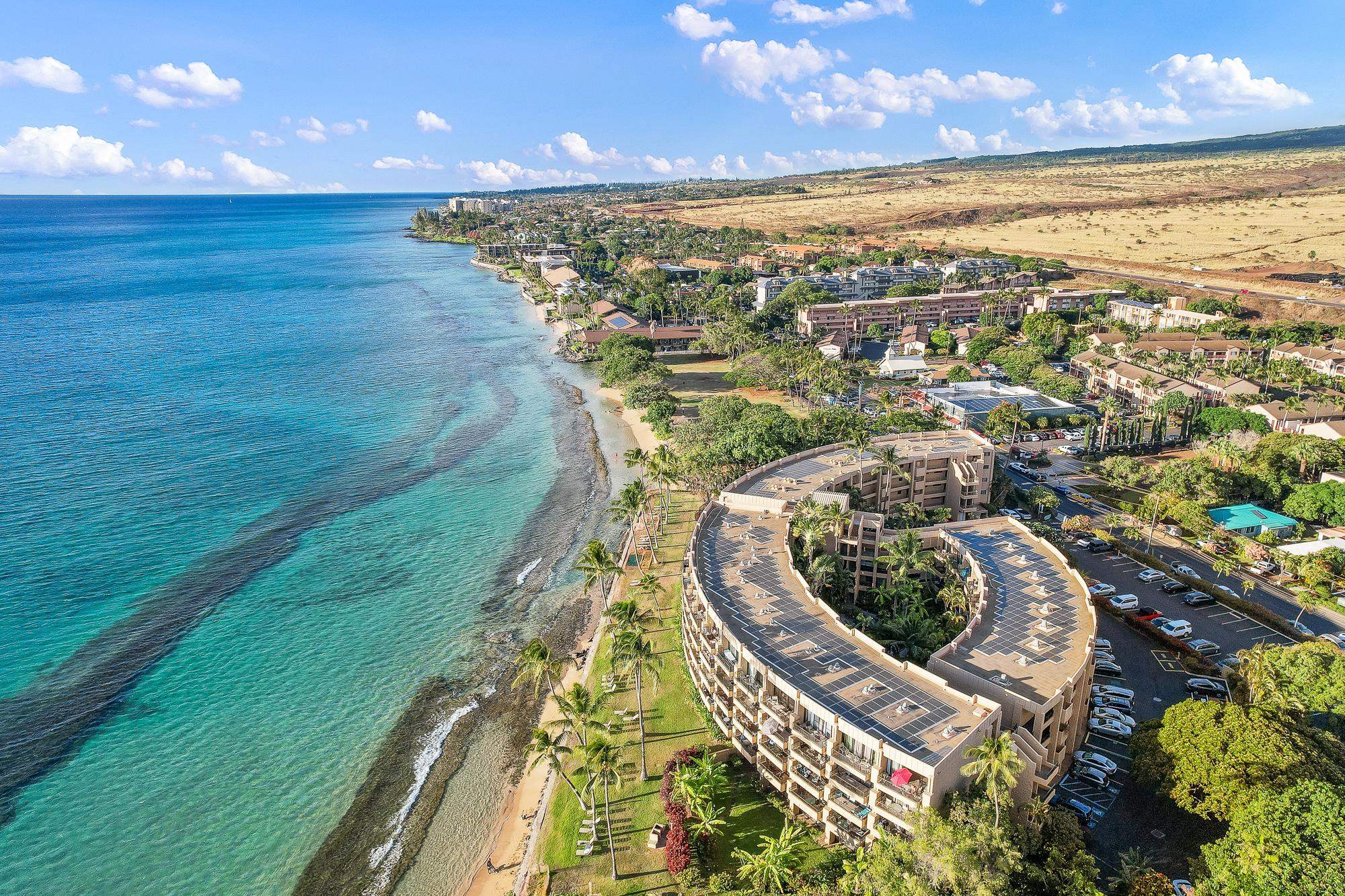Paki Maui I II condo # 316, Lahaina, Hawaii - photo 49 of 50
