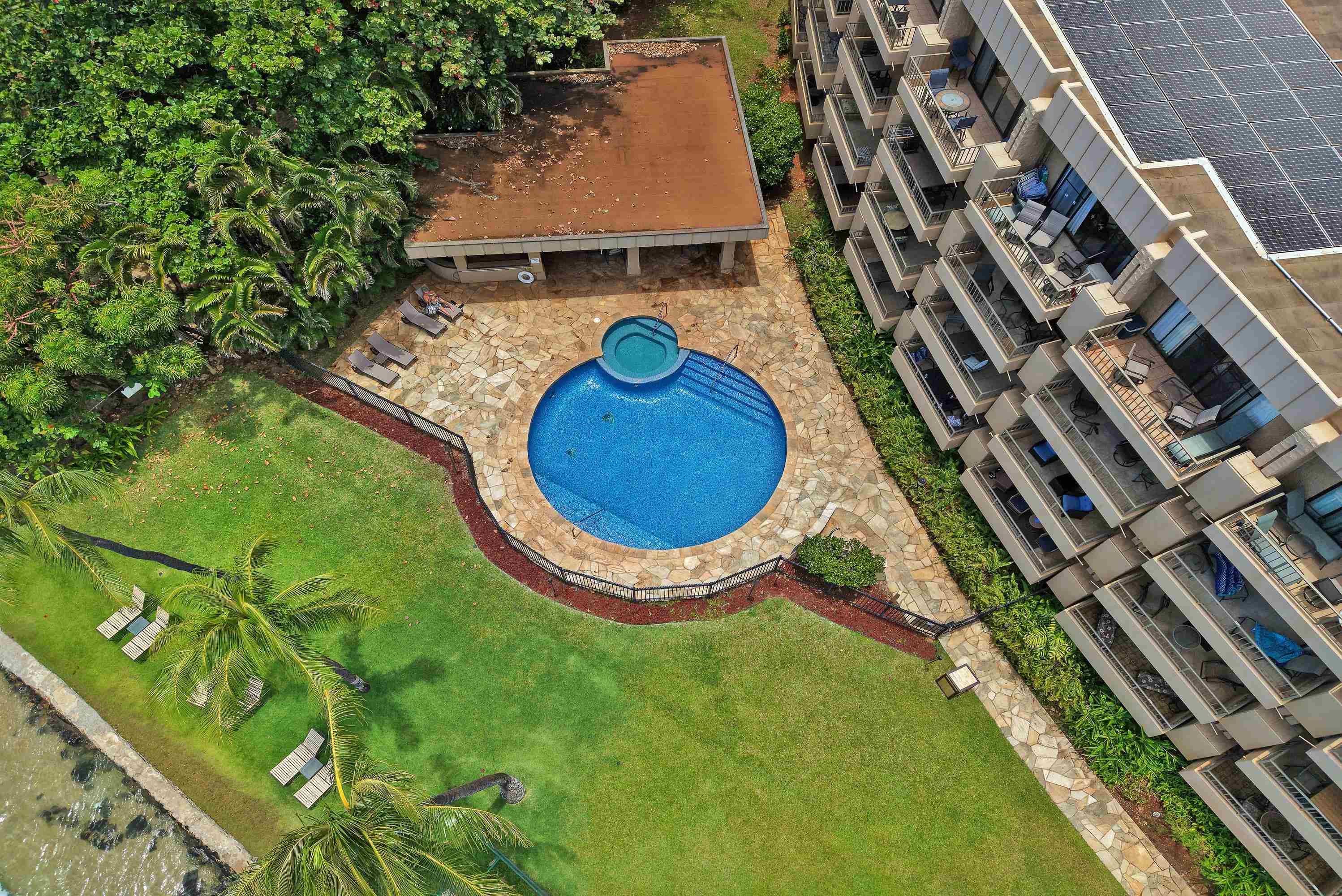 Paki Maui I II condo # 316, Lahaina, Hawaii - photo 31 of 50