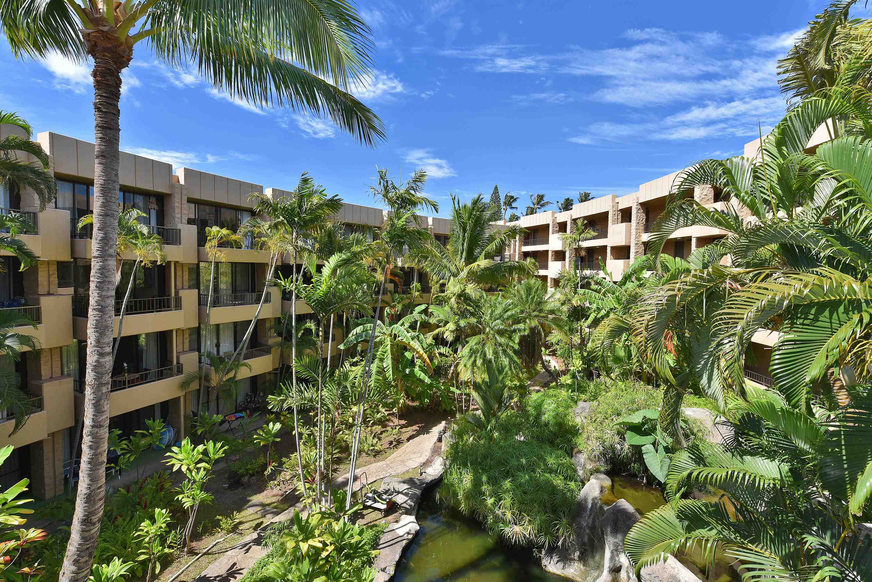 Paki Maui I II condo # 316, Lahaina, Hawaii - photo 33 of 50