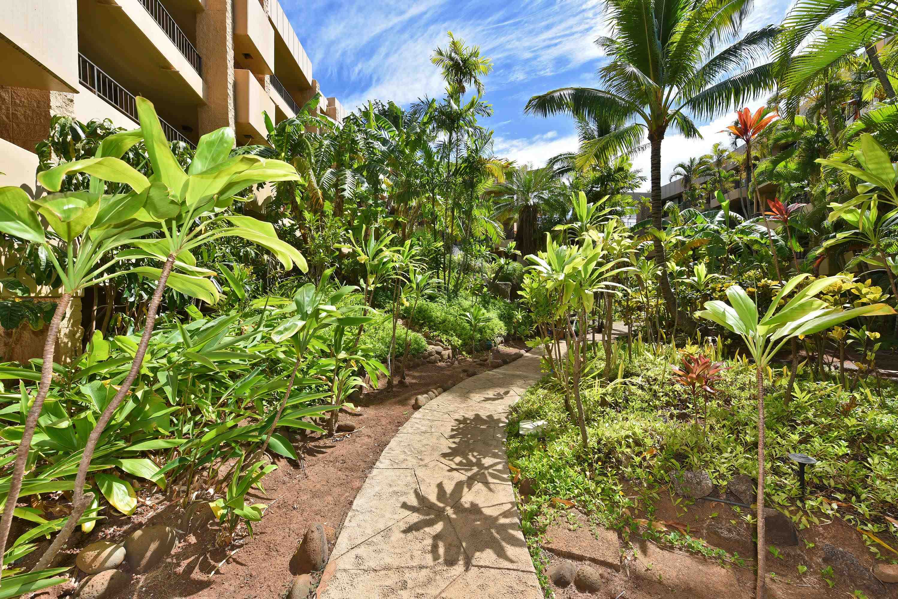 Paki Maui I II condo # 316, Lahaina, Hawaii - photo 34 of 50