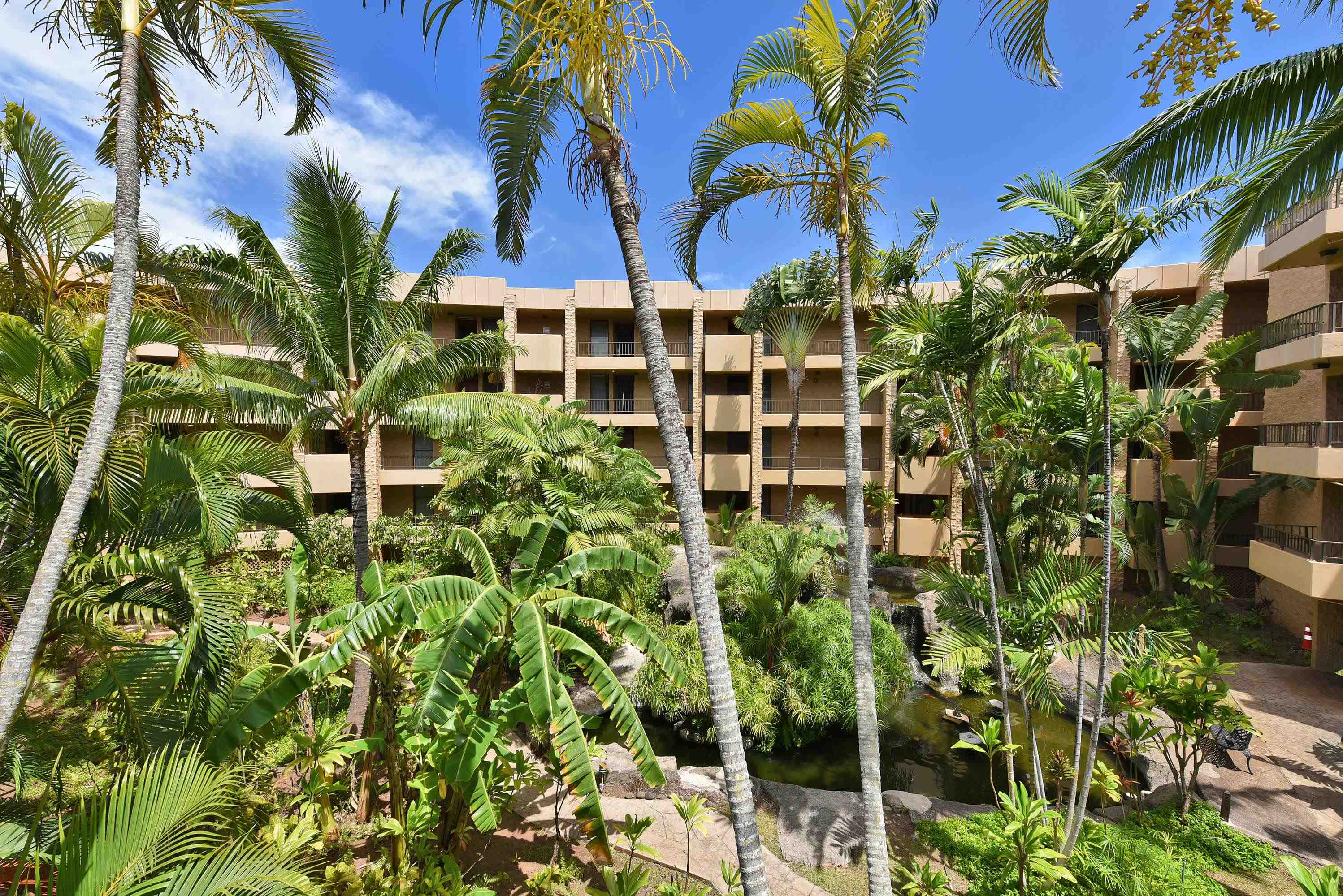 Paki Maui I II condo # 316, Lahaina, Hawaii - photo 35 of 50