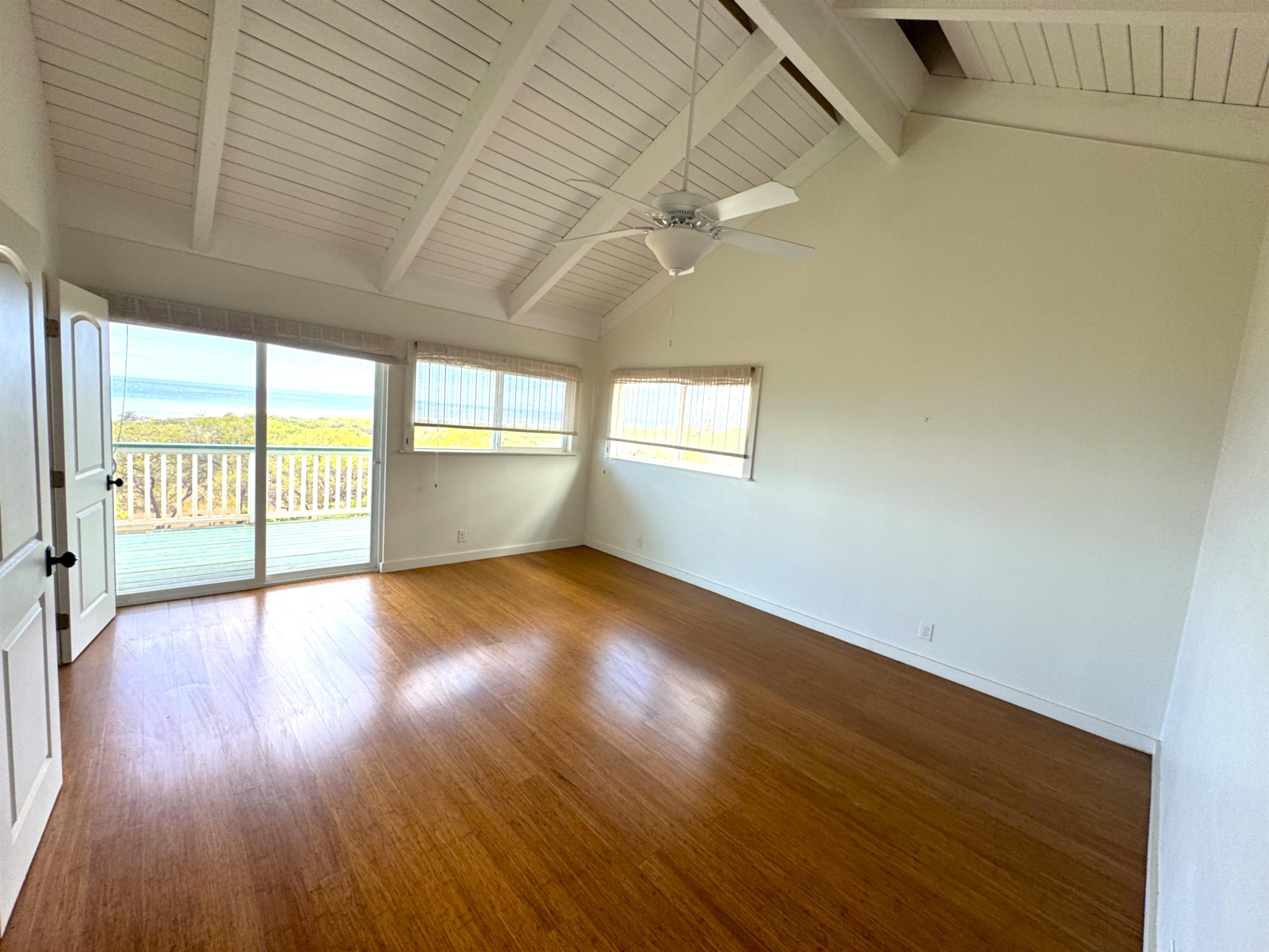 361  Onioni Dr , Molokai home - photo 18 of 35