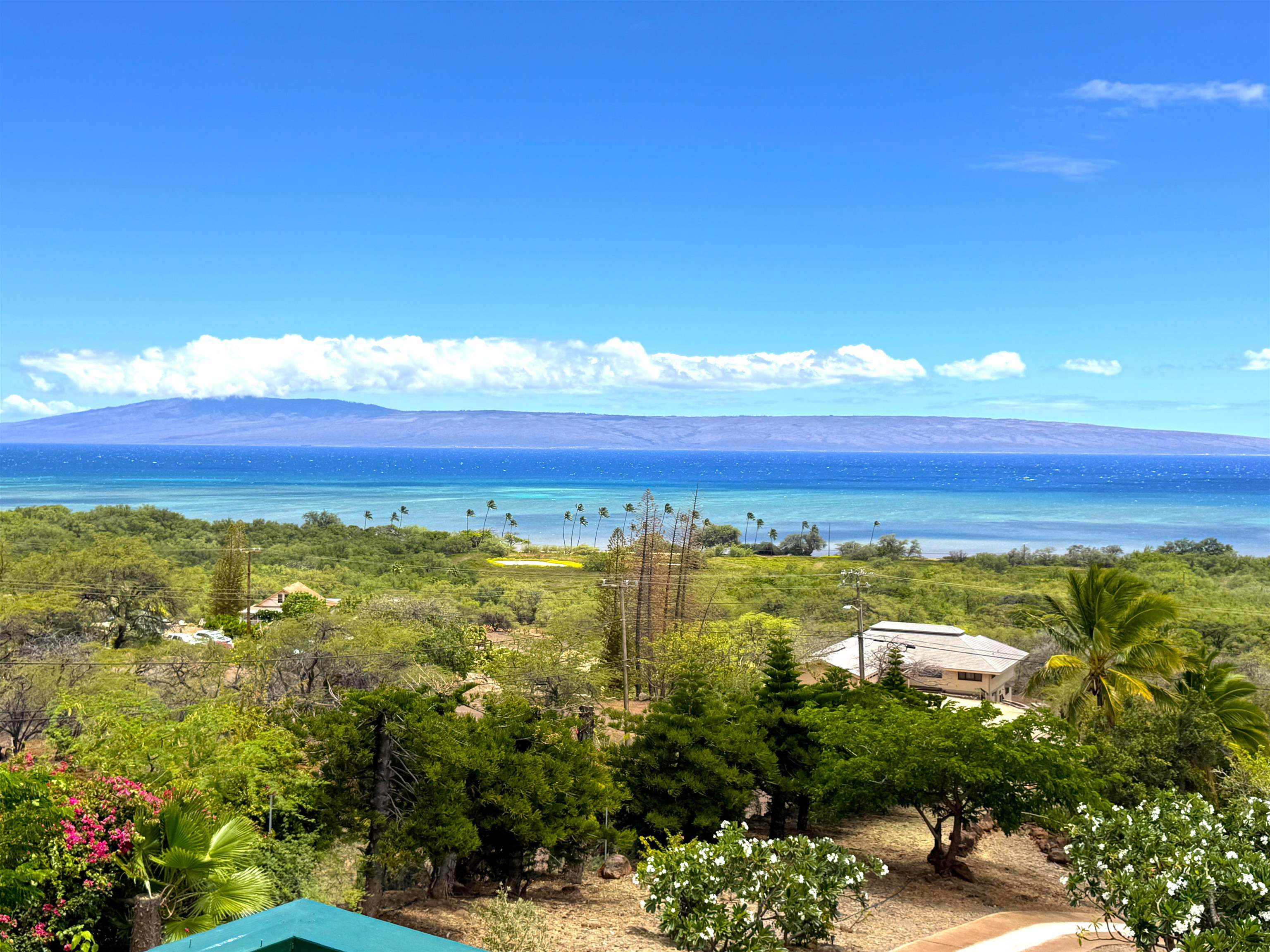 361  Onioni Dr , Molokai home - photo 30 of 35
