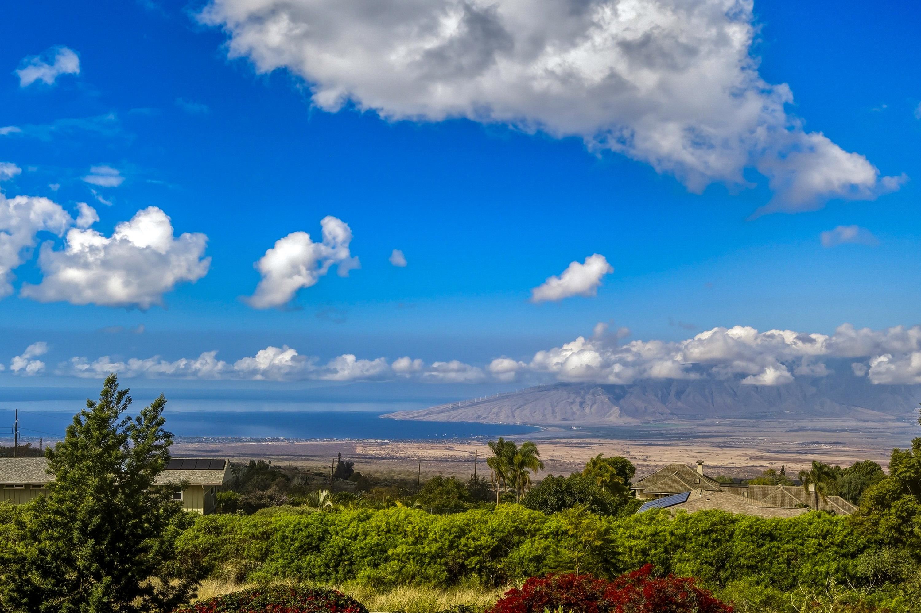 3610  Lower Kula Rd , Kula/Ulupalakua/Kanaio home - photo 3 of 13