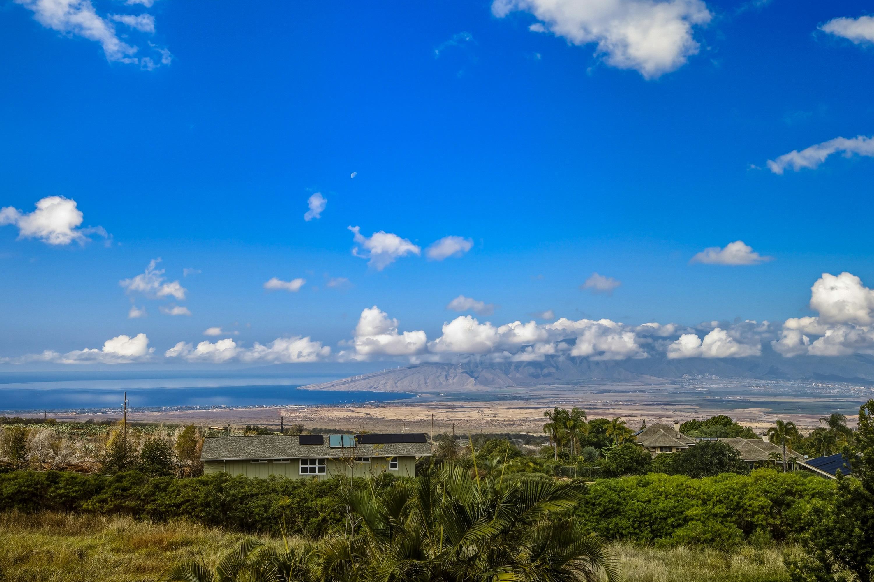3610  Lower Kula Rd , Kula/Ulupalakua/Kanaio home - photo 45 of 50