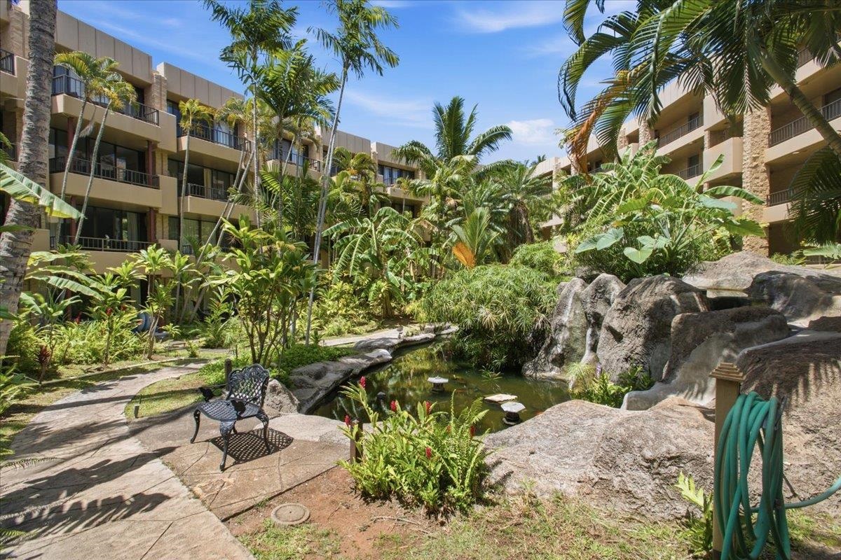 Paki Maui I II condo # 120, Lahaina, Hawaii - photo 23 of 50