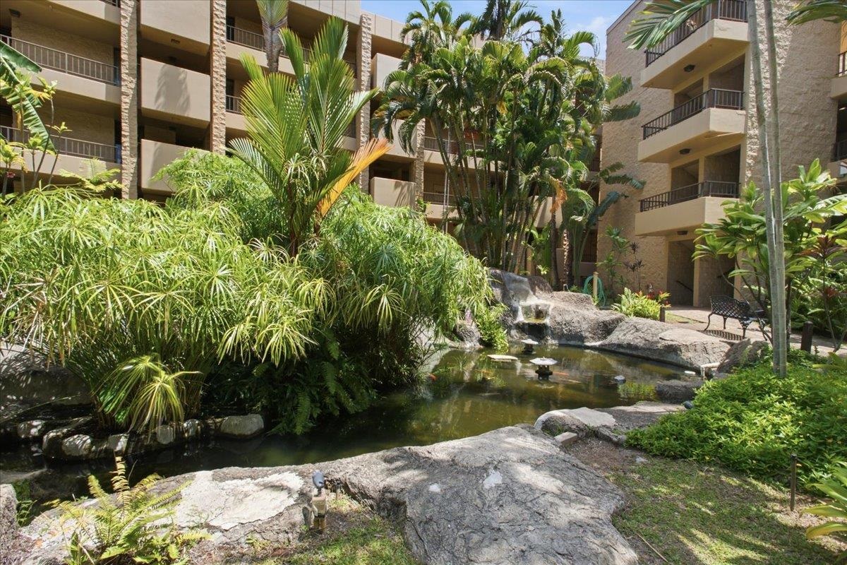 Paki Maui I II condo # 120, Lahaina, Hawaii - photo 25 of 50