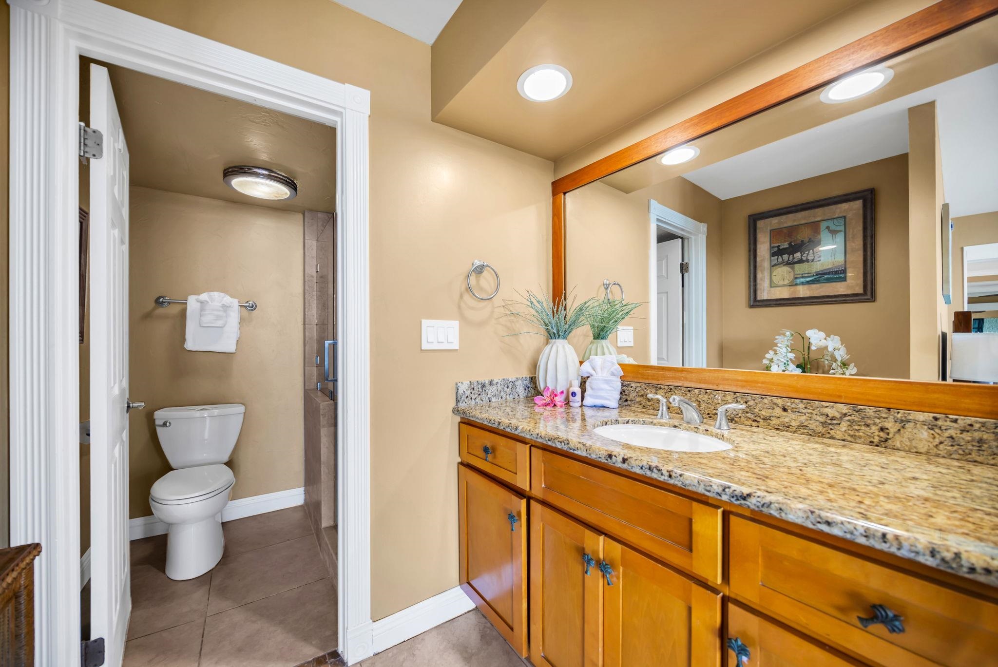 Paki Maui III condo # 222, Lahaina, Hawaii - photo 22 of 50