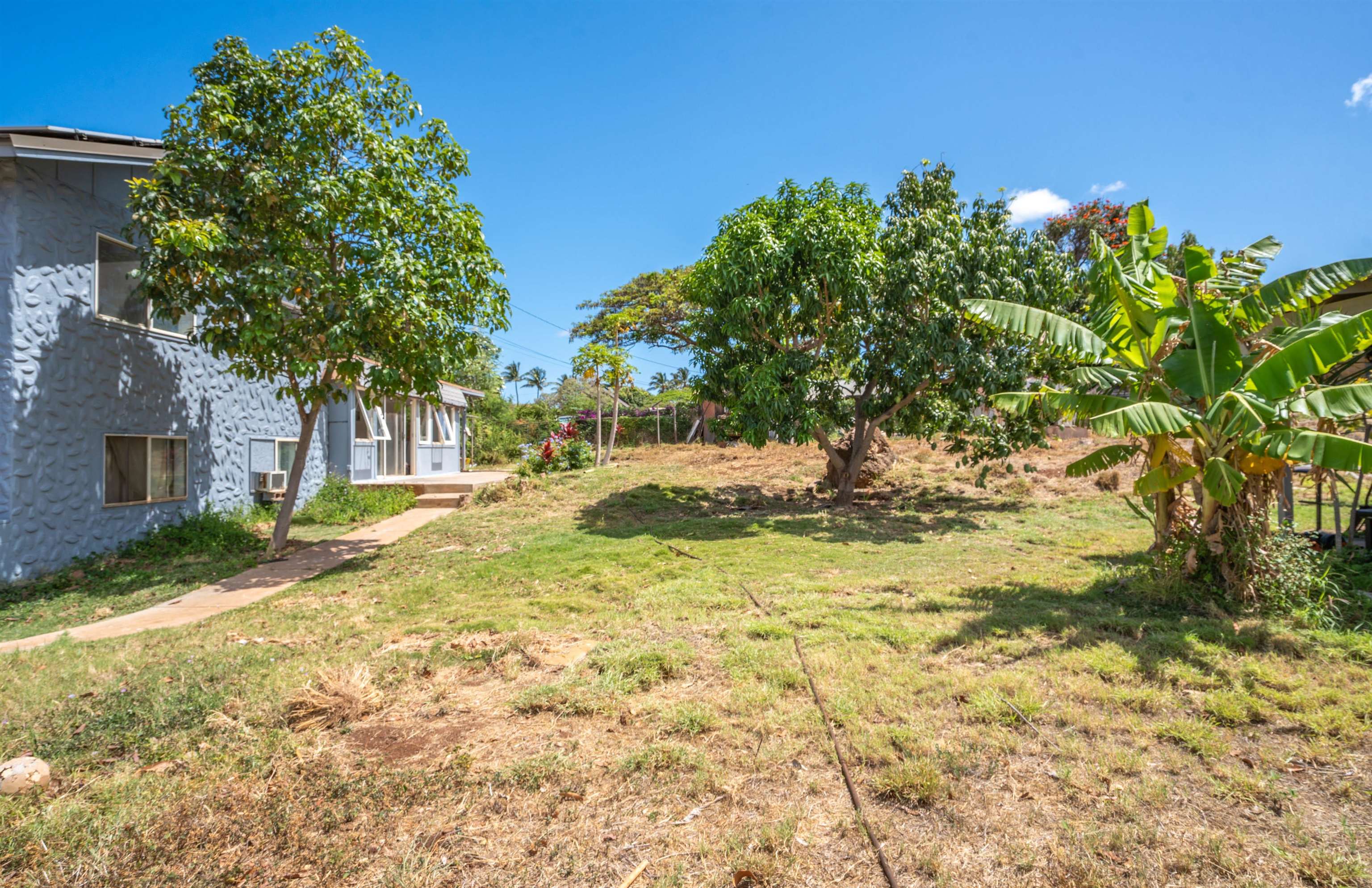 362  Oe St , Kihei home - photo 8 of 35