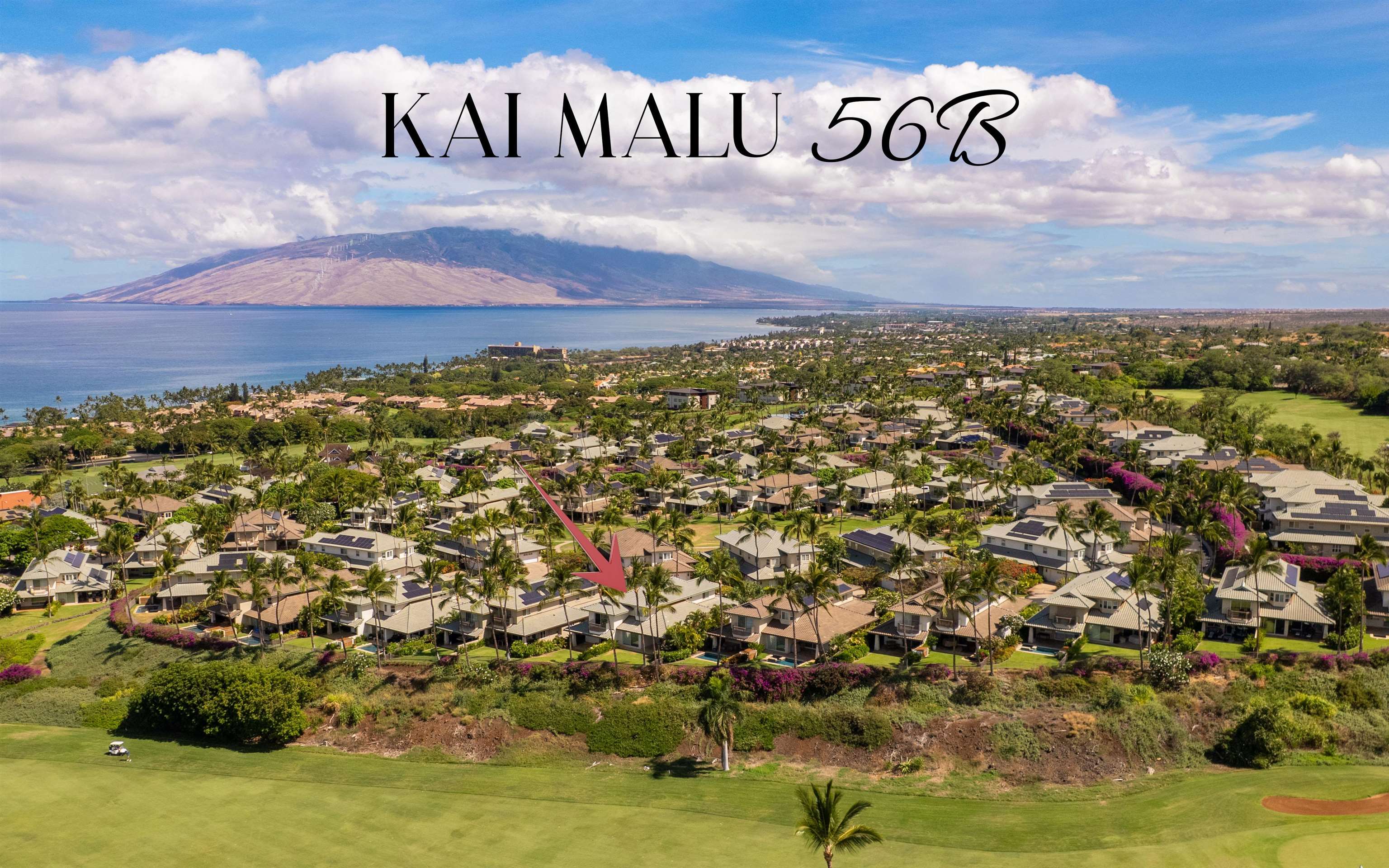 Kai Malu condo # 56B, Kihei, Hawaii - photo 50 of 50