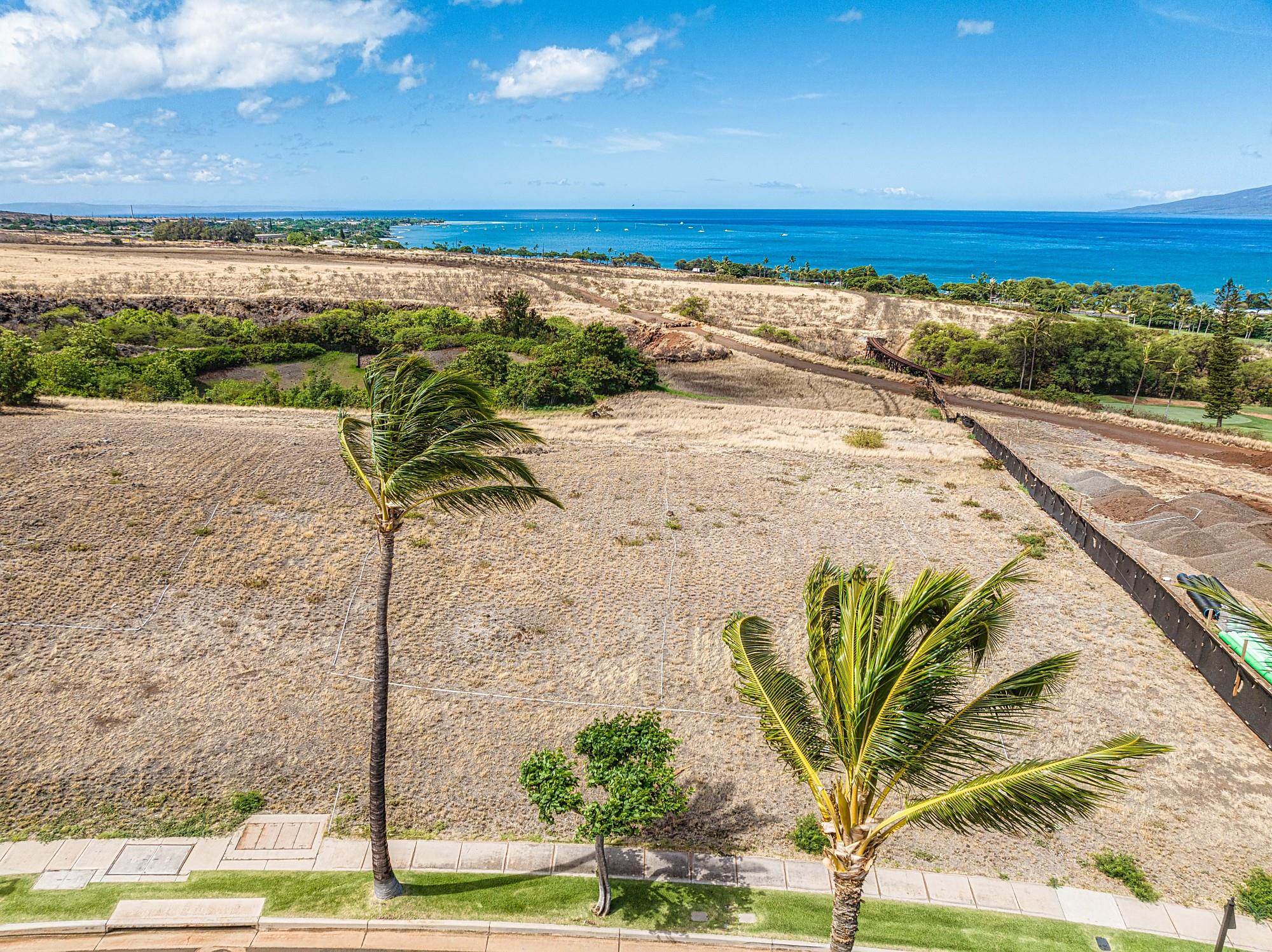 364 Anapuni Loop 41 Lahaina, Hi vacant land for sale - photo 13 of 27