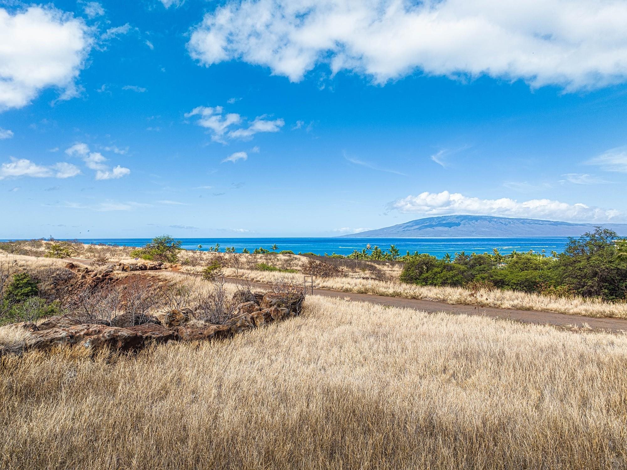 364 Anapuni Loop 41 Lahaina, Hi vacant land for sale - photo 18 of 27