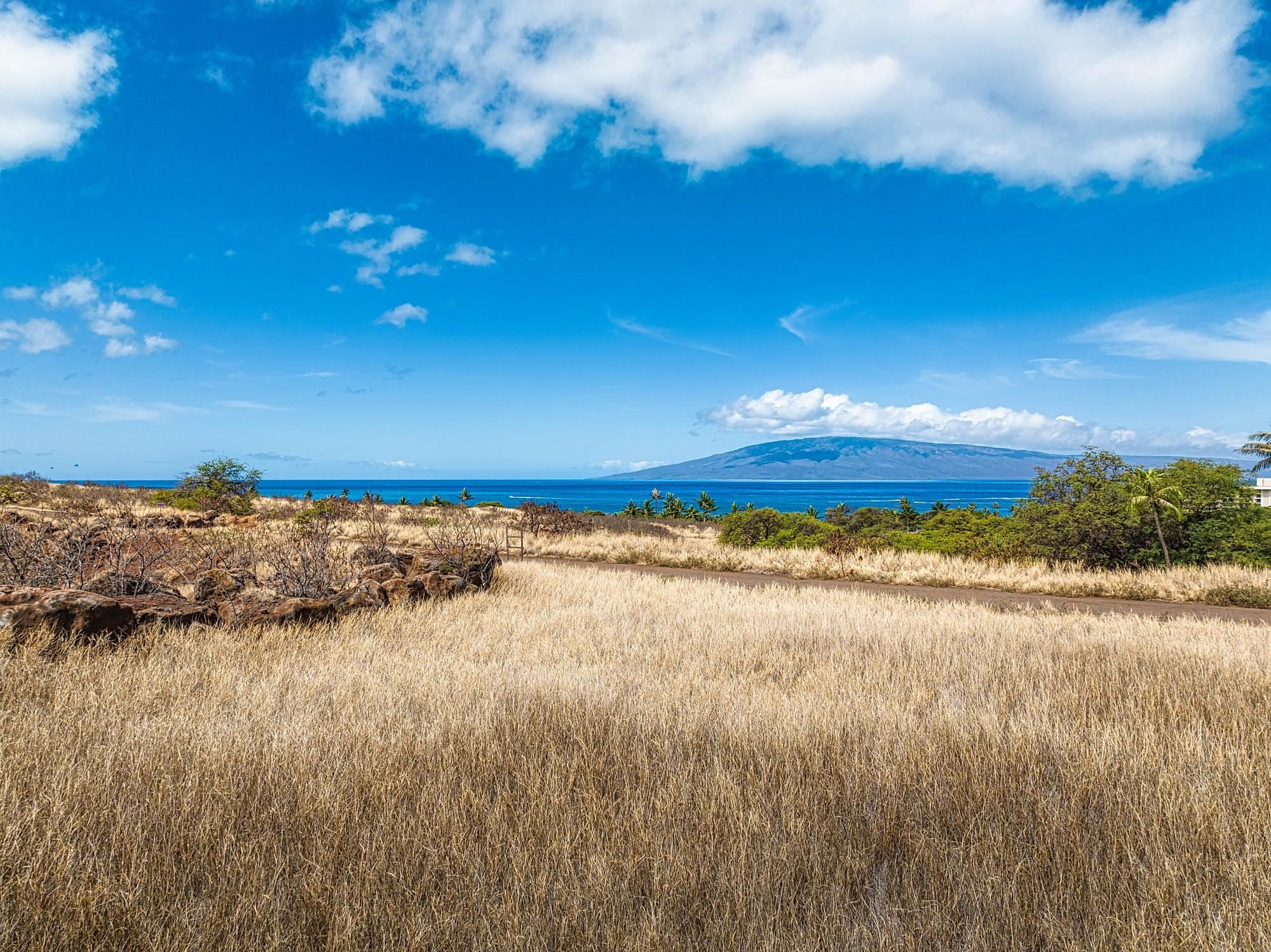 364 Anapuni Loop 41 Lahaina, Hi vacant land for sale - photo 19 of 27