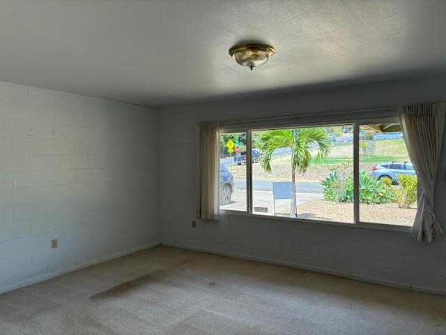 364  Haulani St Pukalani, Makawao/Olinda/Haliimaile home - photo 34 of 50