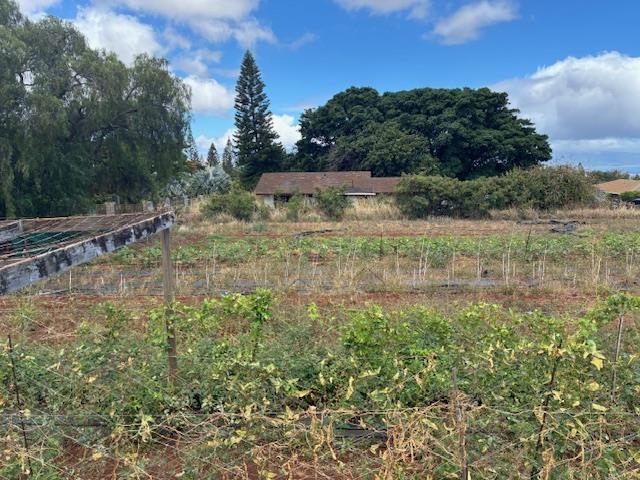 364  Haulani St Pukalani, Makawao/Olinda/Haliimaile home - photo 38 of 50