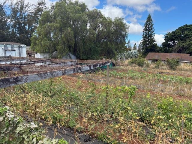 364  Haulani St Pukalani, Makawao/Olinda/Haliimaile home - photo 39 of 50