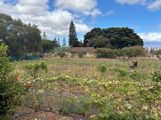 364  Haulani St Pukalani, Makawao/Olinda/Haliimaile home - photo 40 of 50