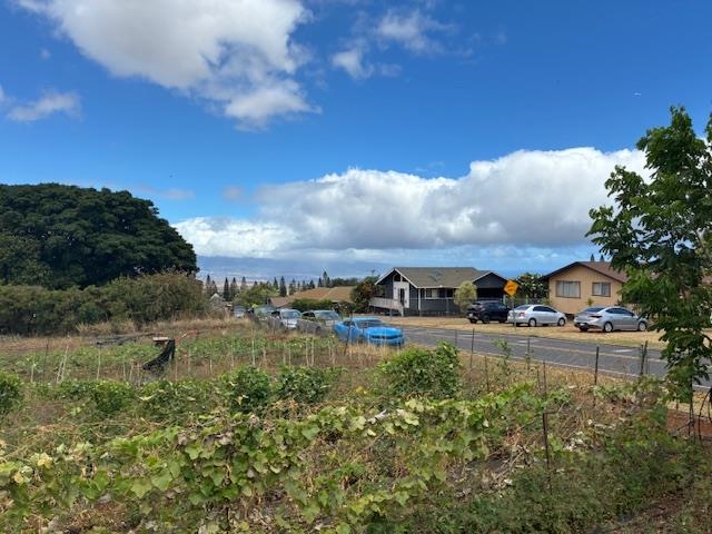 364  Haulani St Pukalani, Makawao/Olinda/Haliimaile home - photo 41 of 50