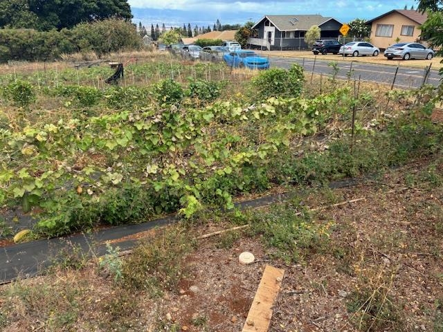 364  Haulani St Pukalani, Makawao/Olinda/Haliimaile home - photo 42 of 50