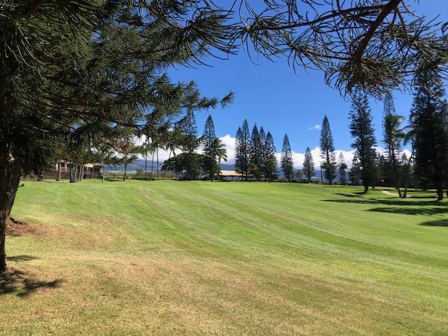 364  Haulani St Pukalani, Makawao/Olinda/Haliimaile home - photo 46 of 50