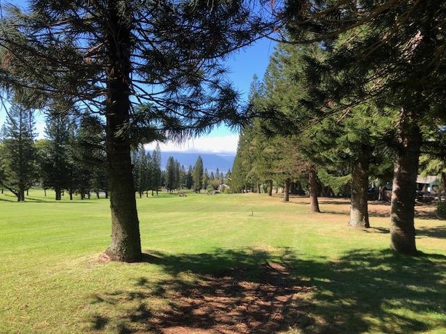 364  Haulani St Pukalani, Makawao/Olinda/Haliimaile home - photo 47 of 50