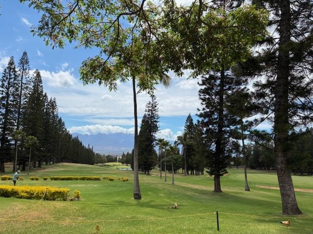 364  Haulani St Pukalani, Makawao/Olinda/Haliimaile home - photo 48 of 50