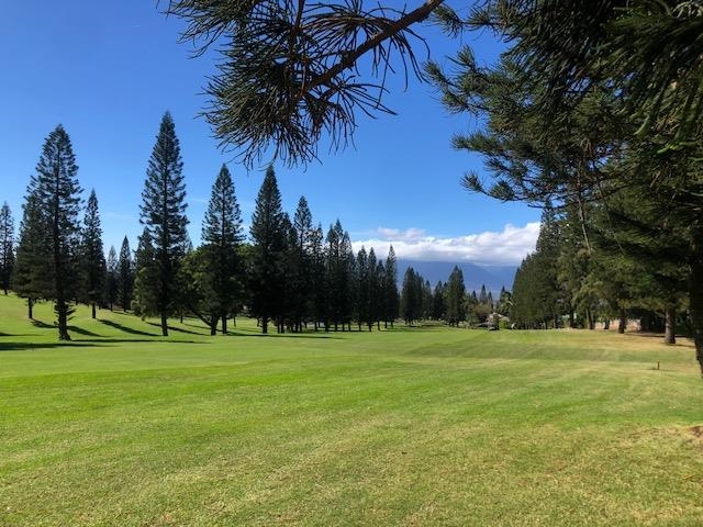 364  Haulani St Pukalani, Makawao/Olinda/Haliimaile home - photo 6 of 50