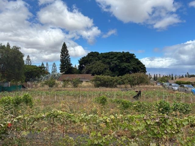 364  Haulani St Pukalani, Makawao/Olinda/Haliimaile home - photo 9 of 50