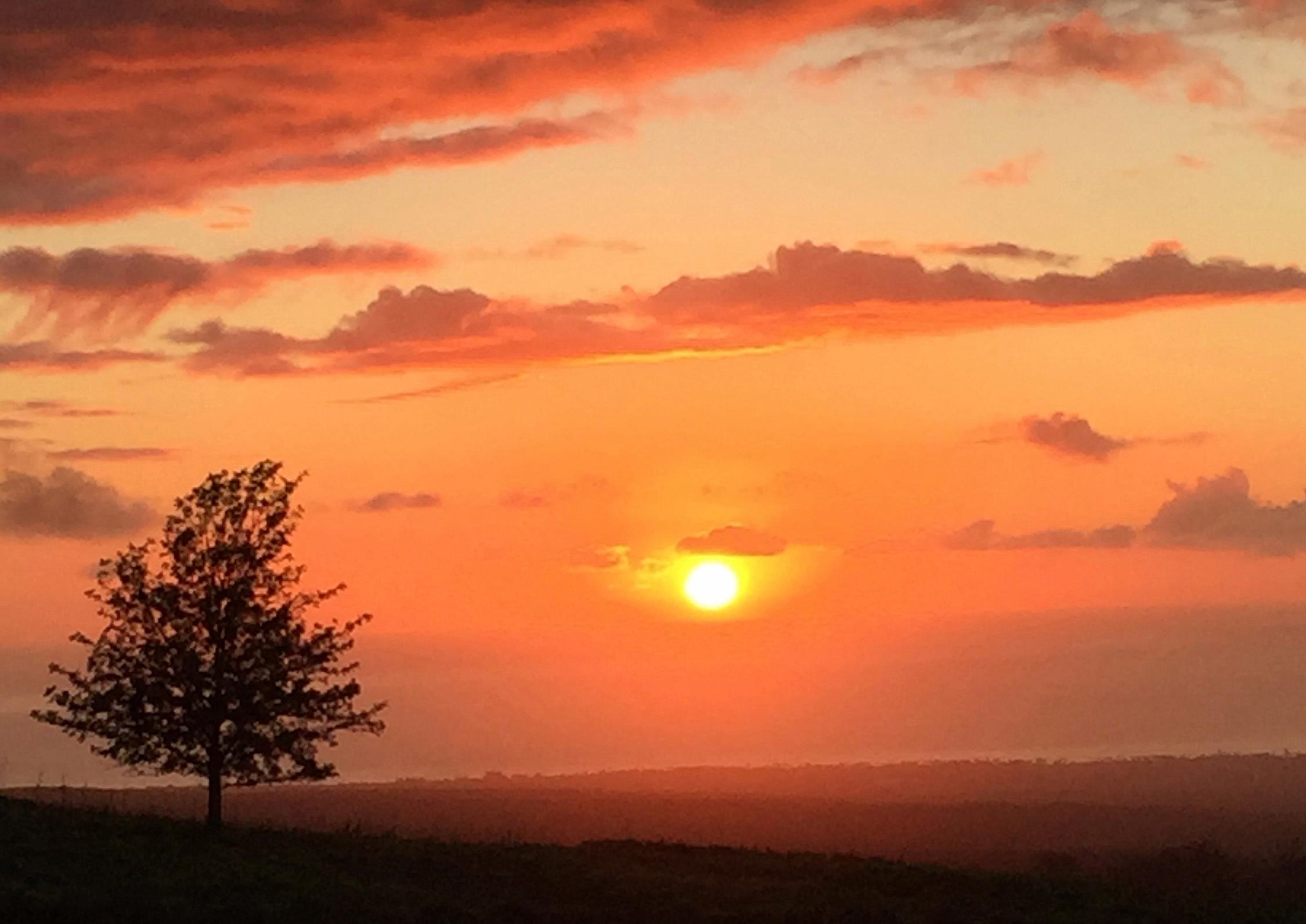 366  Huahua Pl Kula, Kula/Ulupalakua/Kanaio home - photo 25 of 31